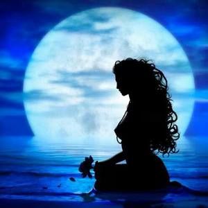 Meet your Posher, Bo